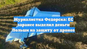 Журналистка Федорска: ЕС заранее выделил деньги Польши на защиту от дронов