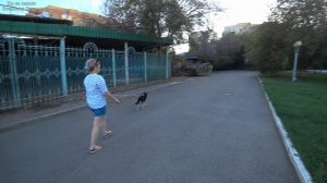 Вечерняя прогулка с Ритой-Басей. Четвёртый день с нами. 20.08.2025.