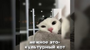 ﹤﹤плейлист песен из моего плейлиста﹥﹥