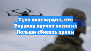 Туск подтвердил, что Украина научит военных Польши сбивать дроны