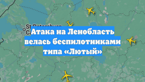 Атака на Ленобласть велась беспилотниками типа «Лютый»