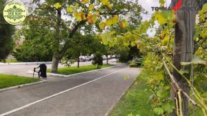 День города Новороссийска, день села Абрау-Дюрсо