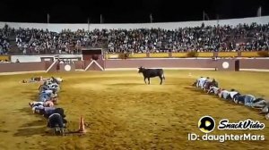 Перейди Манеж с быком так чтобы он тебя не забодал