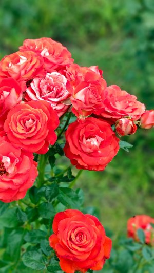 Насыщенный август