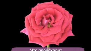 8 реакций на исправление вашей речи посторонним человеком ⤵️