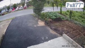 Стремительное проникновение