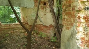 Усадьба Шварцев.