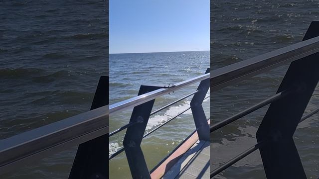 1000014317.mp4 смотреть онлайн