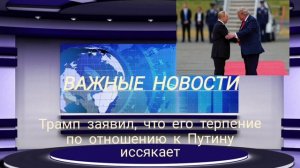 Трамп заявил, что его терпение по отношению к Путину иссякает