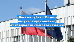 «Покажи зубки»: Польша получила предложение, от которого не смогла отказаться