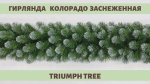 Triumph Tree - ОБЗОР хвойной гирлянды Колорадо заснеженная