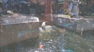 Одна рыбка поймана, но делиться не хочется и ловить другую рыбу тоже 03.09.2025