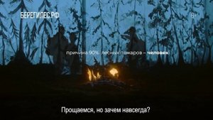 Пожарная безопасность: обращение леса