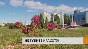 Возмутительный случай произошёл в Челнах