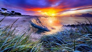 А волна вновь взлетает - / Море и гитара /