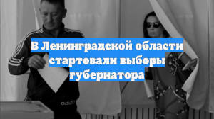 В Ленинградской области стартовали выборы губернатора
