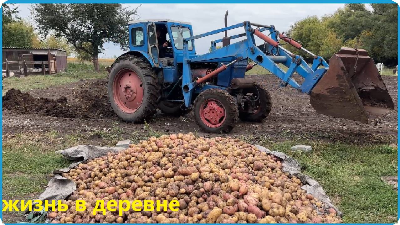 ЛЮДИ ПЛАТЯТ ЗА ЭТО ДЕНЬГИ А в ДЕРЕВНЕ ОНО ПОД НОГАМИ,Рецепт мясных чипсов в термокамере Hobbi Smoke