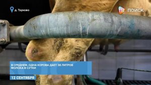 Агрофирма "Елгозинское" использует новейшие технологии