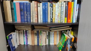 12-09-2025 убираюсь в книжном шкафу, рассматриваю книги в деревне