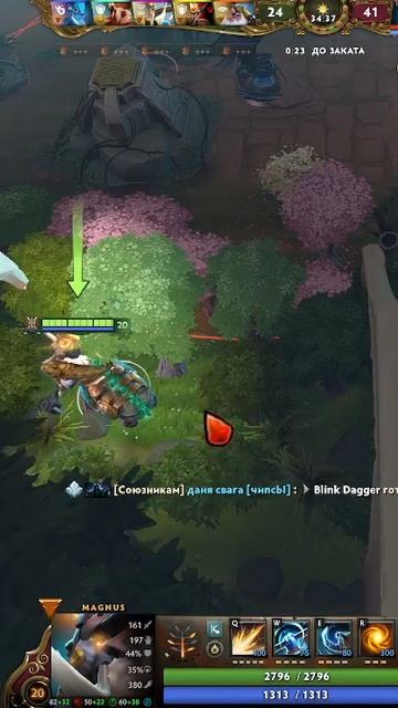 Тайная комнатаMagnusDota 2RP