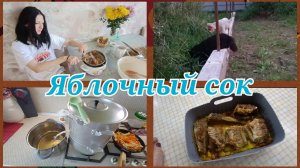 Яблочный сок.Минтай в аэрогриле.Снова добыча