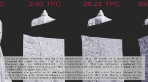 3D simplification of a gown by M & A Shogren