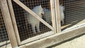 с классом ездили в ошко парк