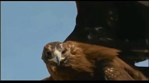 Кто летал тот поймет.