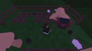 видео для подписчиков