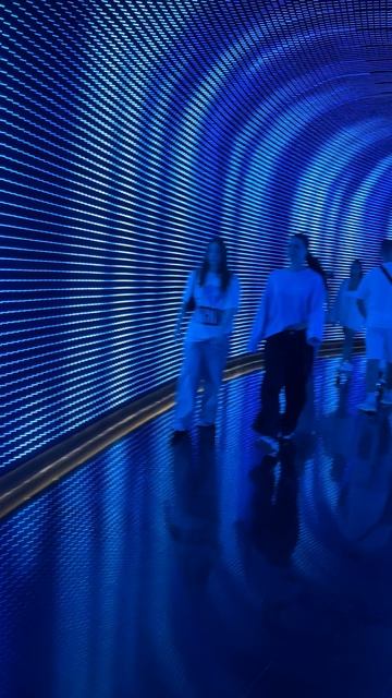 Светящиеся туннели, ведущие в кроличью нору #парккраснодар #паркгалицкого