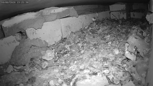 Призрак повернул яйцо - The ghost turned the egg over смотреть онлайн