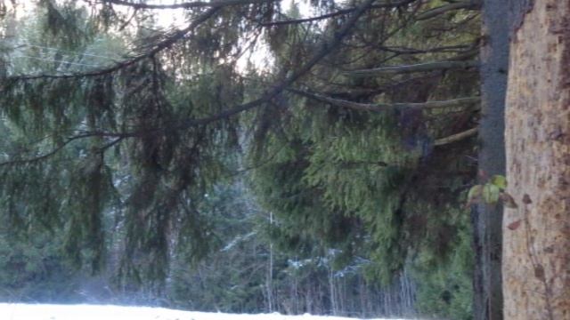 Осталось осени немного - автор Светлана Мельникова исполняет Светлана Полыгалова смотреть онлайн