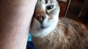 12 сентября 2025. Сентябрьские моменты.