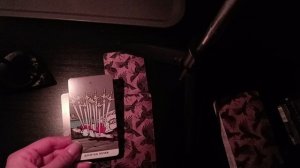 переводить ли ребенка на домашнее обучение? таро