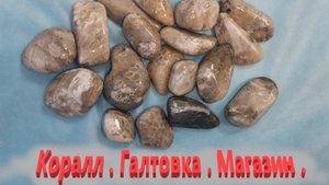 Подмосковный коралл . Галтовка. Магазин .