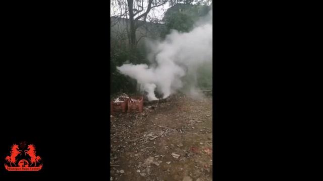 WPS-125 Цветной дым ДУПЛЕТ (двусторонний) белый с чекой