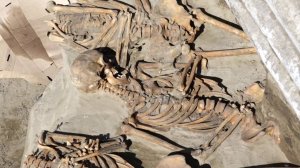 Программа "Главные новости" на 8 канале от 13.09.2025 Часть 1