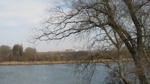 16--03--2025  ПРОГУЛКА   (35)