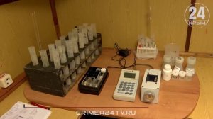 ВНИРО изучает эффективность нереста промысловых рыб и состояние экосистемы в Чёрном море