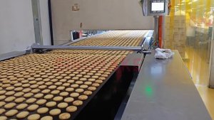 углеродный стальный ремень пекарная печь ремень #steelbelt #biscuitmachine #tunneloven #steelband #b