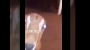 Легендарный мем  #music #memes #song #озвучка #funny #юмор