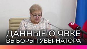 Брифинг избиркома: явка по Новгородской области составила 13,81% (данные на 12 сентября, 15:00)