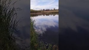 Рыбалка на карася