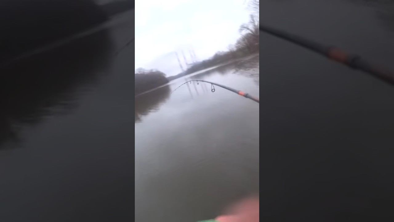 Спиннинг Akara Black Hunter в работе #рыбалка #джиг #shorts смотреть онлайн