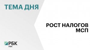В Башкортостане субъекты МСП за 7 мес. 2025 г. заплатили ₽17,6 млрд налогов