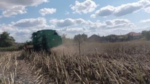 выехали первый день на уборочную подсолнечника настраиваемся