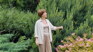 Это восхитительно! Хочется слушать бесконечно!