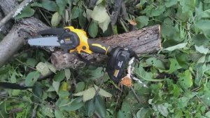 Акуммуляторная цепная мини пила DeWALT с шиной 6"в работе. Тест на распил толстых стволов.