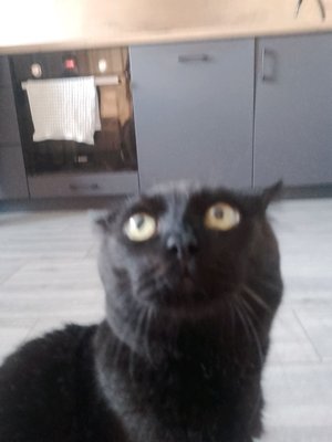 гроф  э гарден