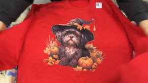 сти324. Толстовки Канада сток 2 категория